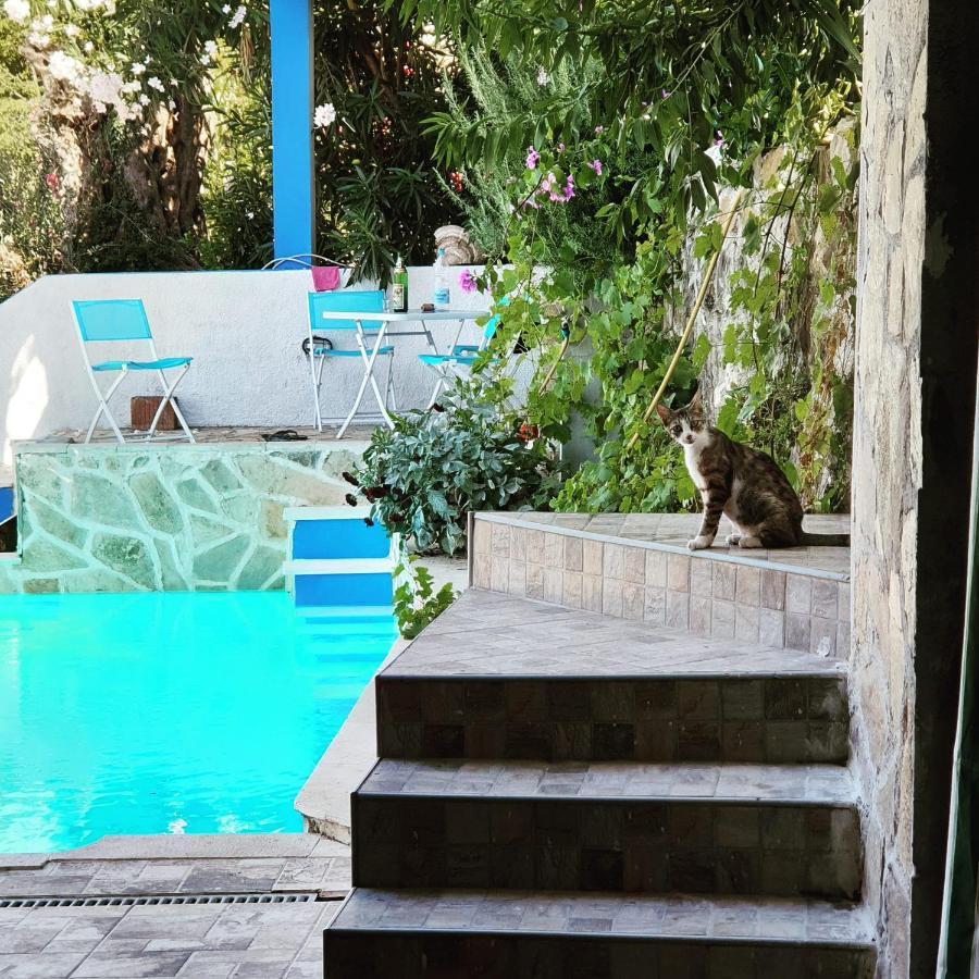 Apartment Bradex Dreams Bečići Eksteriør billede