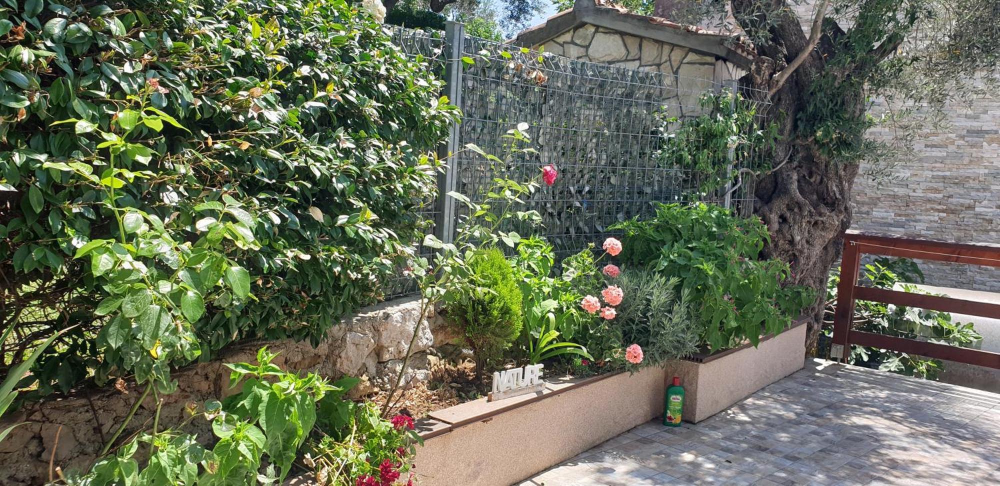 Apartment Bradex Dreams Bečići Værelse billede